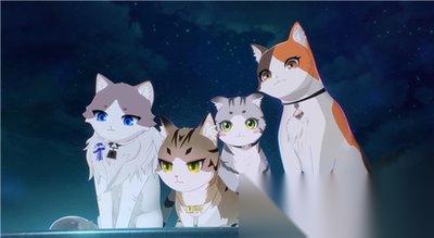 猫之城怎么进行配队