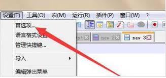 Notepad如何设置标签栏锁定
