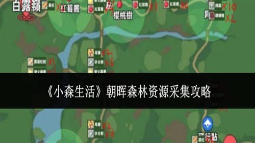 小森生活朝晖森林资源采集点都有哪些 小森生活朝晖森林资源采集攻略