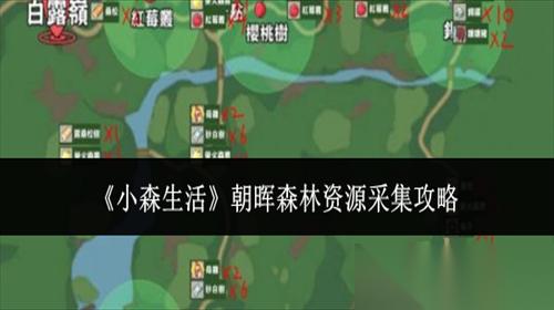 小森生活朝晖森林资源采集点都有什么 小森生活朝晖森林资源采集攻略