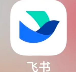 飞书怎么查工资条 飞书工资条明细查看方法